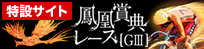 鳳凰賞典レース特設サイト