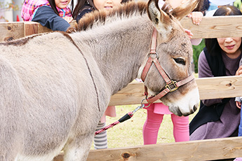 たちかわ競輪de運動会