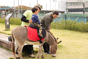 たちかわ競輪de運動会