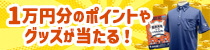 gambooキャンペーン