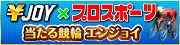 エンジョイ×プロスポーツ